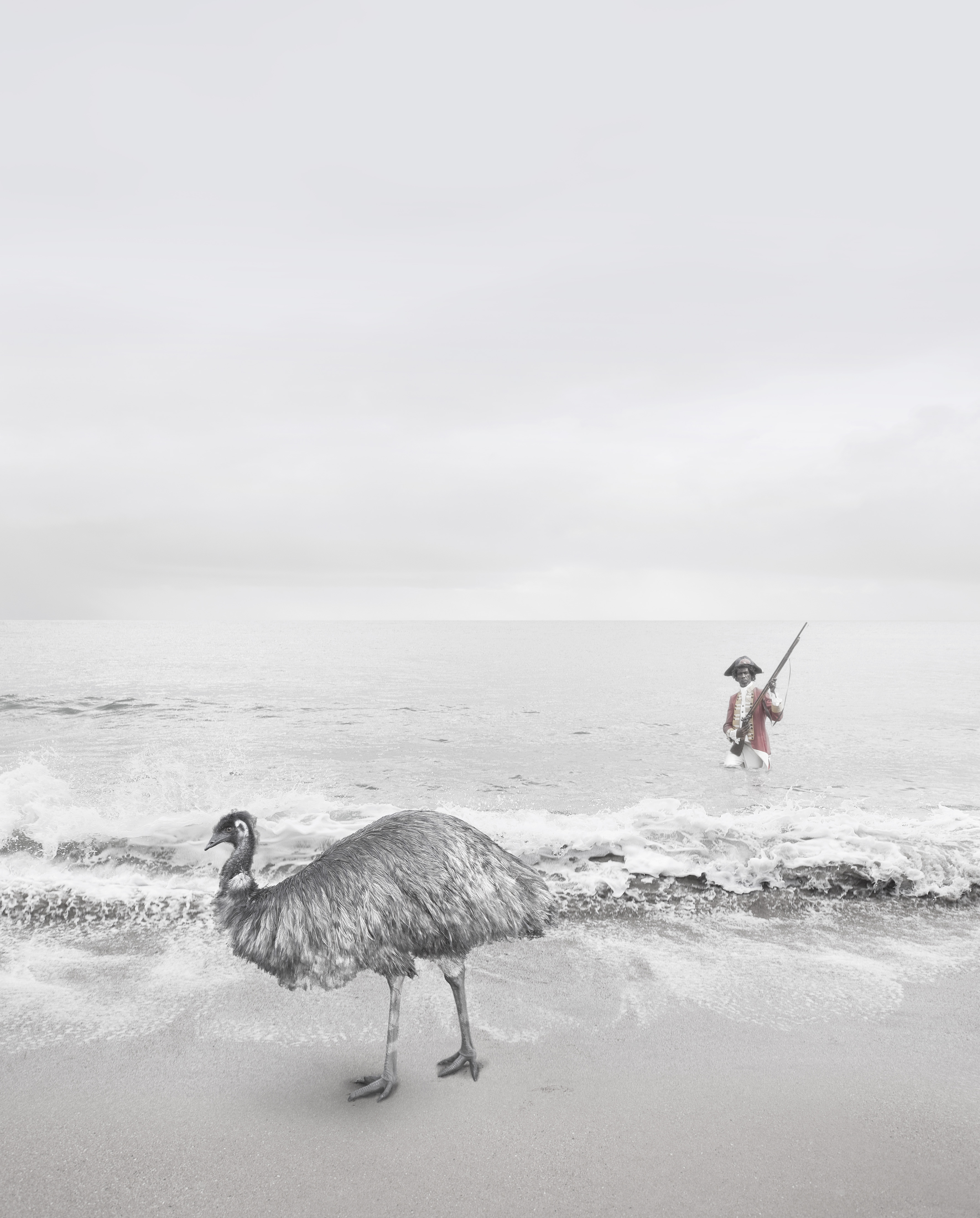 A composite image of an Aboriginal man in British naval dress coming to shore, and an emu on the beach.