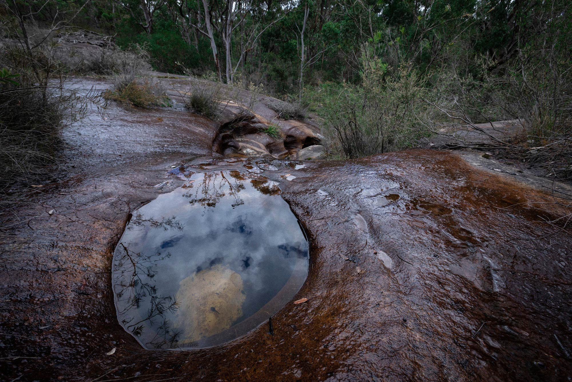 Tool-sharpening grooves beside spring-fed rock pool, Canoelands / photograph by Joy Lai, 2020