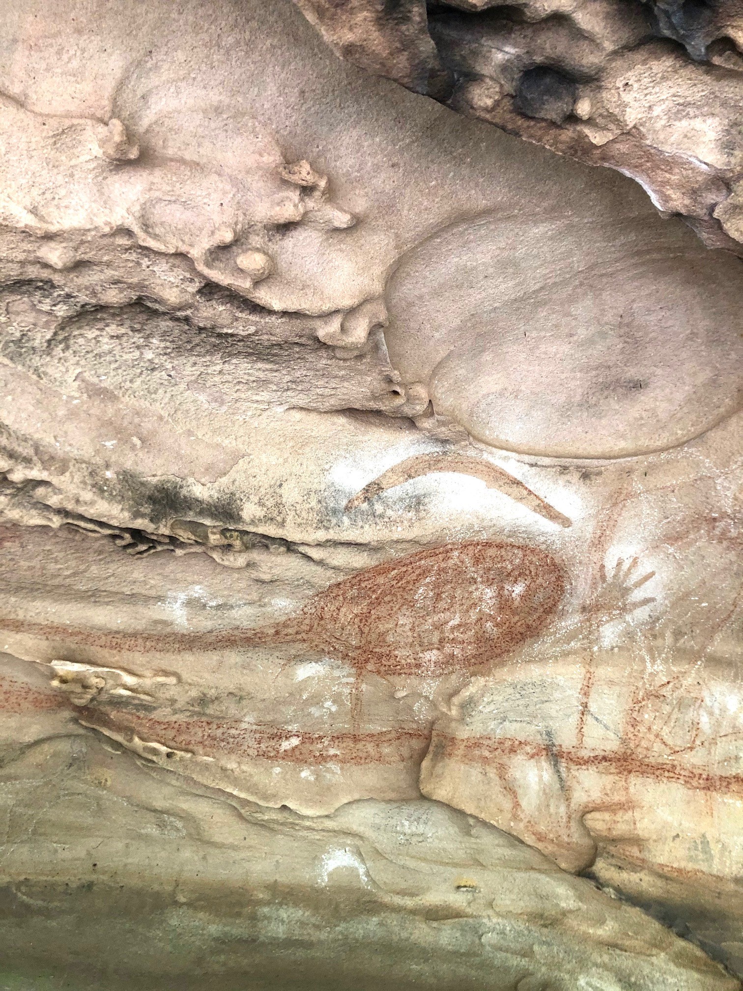 Circular motif in rock art shelter, Canoelands, photograph by Marika Duczynski, 2020