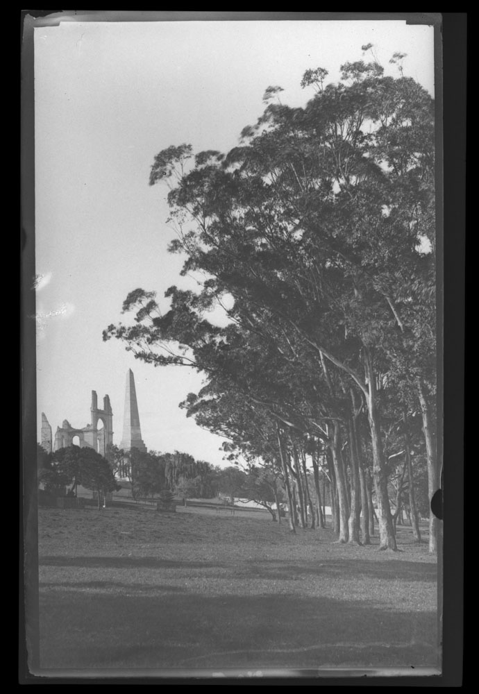 Remains of Garden Palace in the Botanic Gardens, 1882