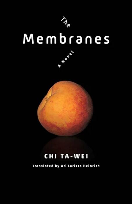 Cover image of The Membranes