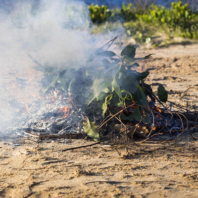 Leaves and twigs burning on a sandy ground