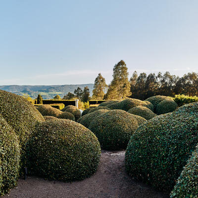 Dome shaped hedges sit in the foreground, with a view of a mountain range in the far distance.