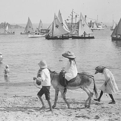 Box 04: Glass negatives of Sydney and Manly areas, ca 1890-1910