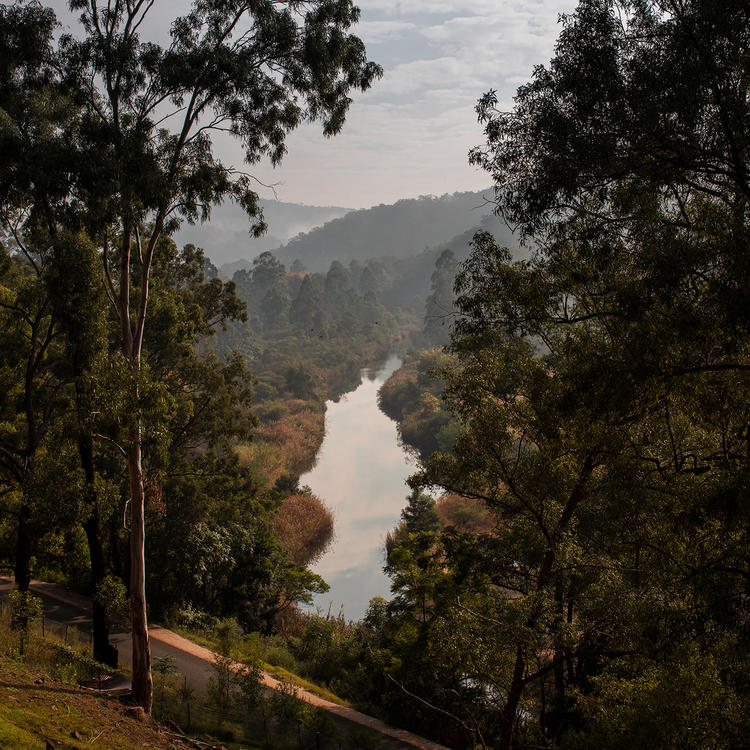 A landscape photograph depicting a misty river as viewed through a break in tree cover.