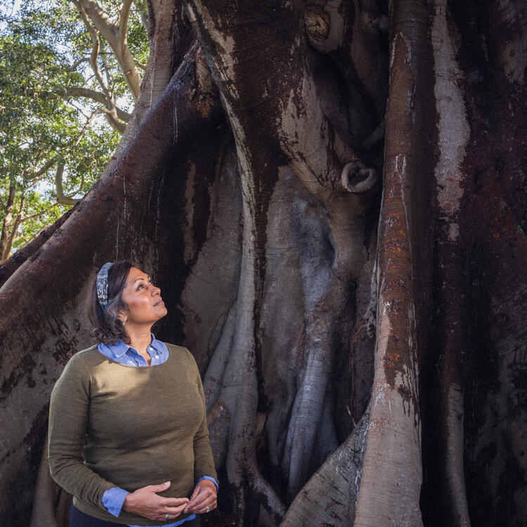Indira Naidoo stands next to a tall strangler fig tree looking up.