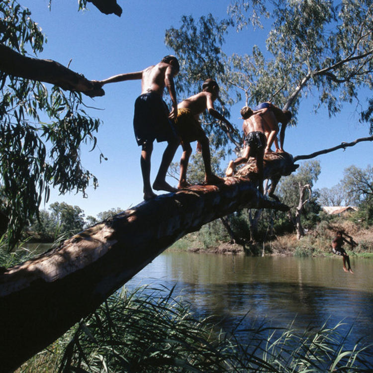 children jumping from a tree