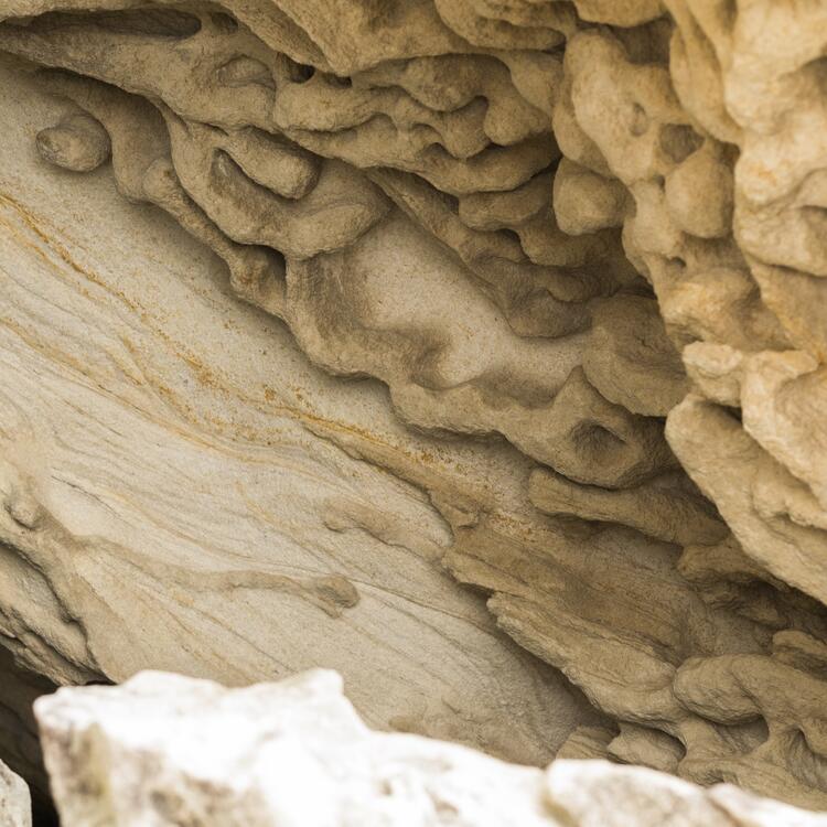 Sandstone detail taken for the Eight Days in Kamay exhibition, Kamay National Park, Botany, 2020. Photo by Joy Lai