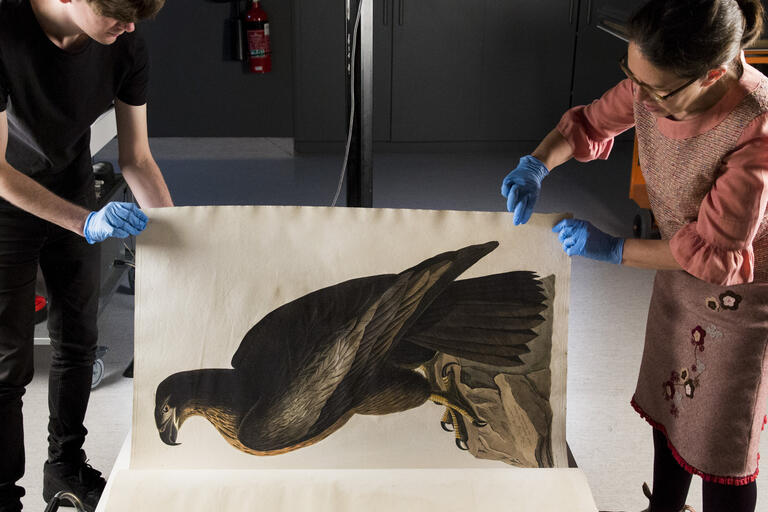 State Library staff digitising painting