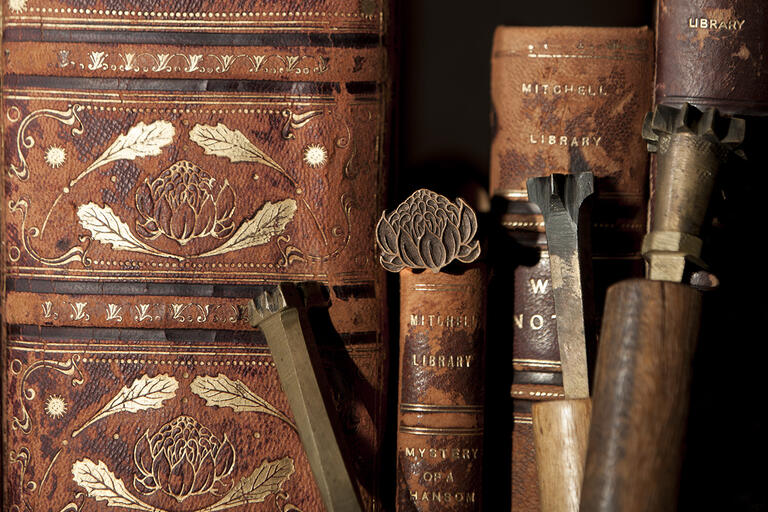 Old brown leather books on bookcase