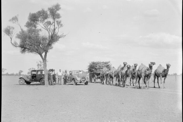 Rebecca Jones - Drought, flood, heat, dust: living with extremes in arid Australia