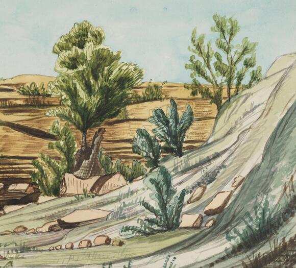 Drawing of bushland