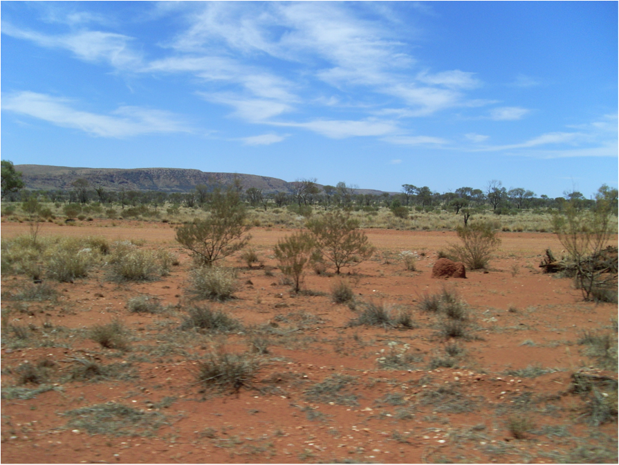 Red desert