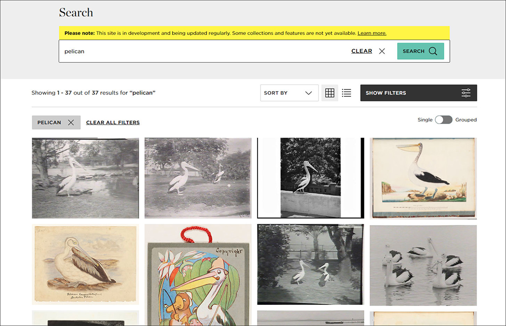 Screenshot of results from the Libary's Digital Collections.